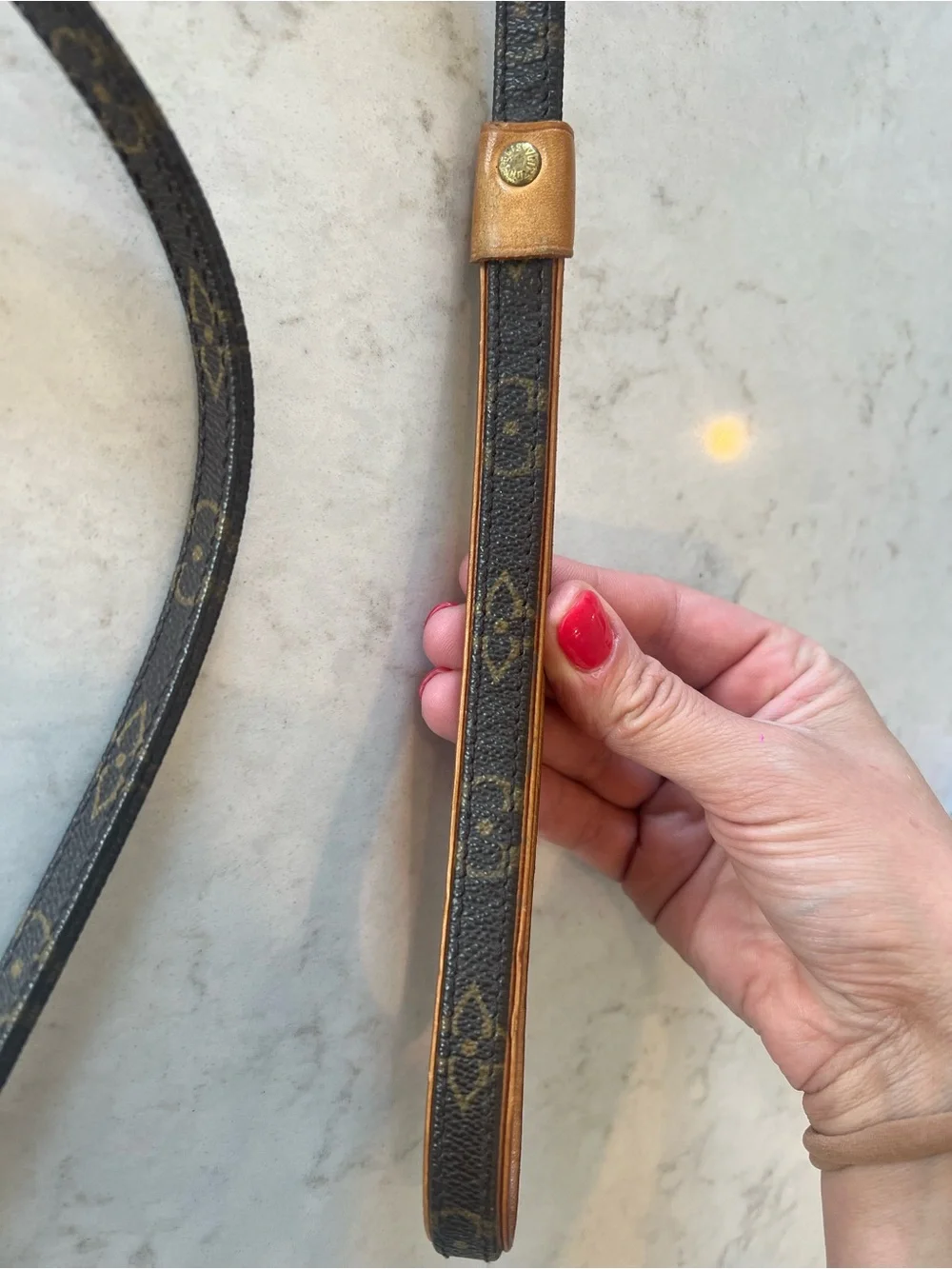 Louis Vuitton Monogram Leather Dog Leash in Brown and Tan